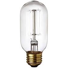 Edison Filament 60 Watt T14 Clear Glass Incandescent Bulb 8c854 Lamps Plus