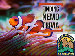 Questions and answers about folic acid, neural tube defects, folate, food fortification, and blood folate concentration. Odr Aviano Italy The Answer To Yesterday S Trivia The Great Barrier Reef Today S Question What Is Nemo S Dad S Name Don T Forget Dive In Movie Sunday At 7pm Facebook