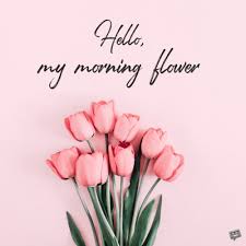 She deserves all love through the romantic messages for her flowers sent through texts. Good Morning Love 111 Messages To Rise Shine