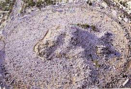 Aug 29, 2018 · the day of arafat falls on the second day of pilgrimage rituals. Importance Of Arafat Day And Its Place In Hajj Muslim Ink