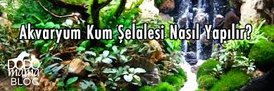 Akvaryum Kum Selalesi Nasil Yapilir