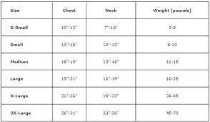 Flower Pot Sizes Neivacolaborativa Co