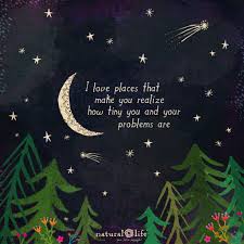 The Chirp Nature Quotes Words Quotes Life