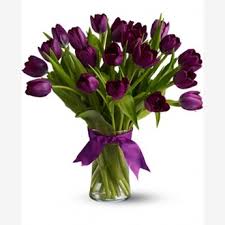 Check spelling or type a new query. Buy Online Pink Tulip Flowers Best Online Florist In Qatar
