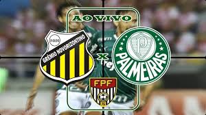Veja Onde Ver O Jogo Do Palmeiras E Novorizontino Ao Vivo Online As Duas Equipes Vao Abrir As Partidas Das Quartas De Final D Jogo Palmeiras Partida Paulistao