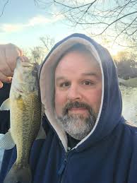 Basset hound moments captured in the morning