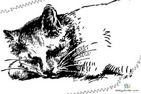 Ausmalbilder Katzen Katzchen Katzenvorlagen Babyduda Malbuch