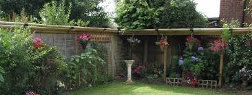 A wide variety of cat proof fence topper options are available to you, such as pressure treated wood type, feature, and metal type. Katzecure Home Keeping Cats Secure With Elegant Cat Proof Fencing