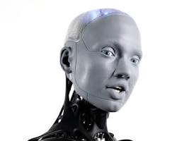 Humanoid robots