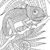 These coloring pages of mandala chameleon can be a lot of fun for you. 1