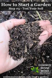Growing conditions and ripening cycles are different depending on the plant and the season, so you should not sow all the seeds at the same. How To Start A Garden 10 Steps To Gardening For Beginners
