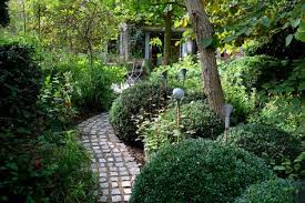 Kecke Heckwellen Gartengefluster Zarte Bluten Fur Ein Kleines Idyll In 2020 Garten Pflanzen Buchenhecke