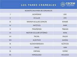 🚨LOS 12... - Centro de Capacitación en Emergencias Médicas | Facebook
