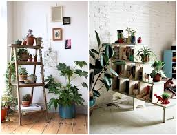 Using indoor plants in your interior design can bring life to an otherwise dreary space. 9 Indoor Plants You Can T Kill So Easily Atap Co