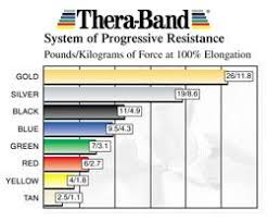 Thera Band Stability Trainers Gym Workouts Band Chart