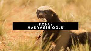 konu manyagin oglu olarak bilinen en korkusuz hayvan wolverine youtube