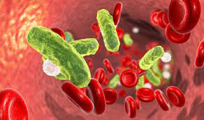 Jan 19, 2021 · a number of medications are used in treating sepsis and septic shock. Blutvergiftung Sepsis Anzeichen Symptome Behandlung Netdoktor At