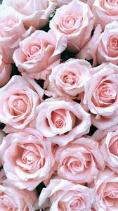 Roses For Valentine S Day In 2020 Flower Phone Wallpaper Flower Wallpaper Rose Wallpaper