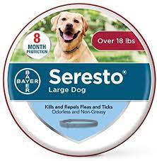 We did not find results for: Seresto Flea And Tick Collar For Dogs 8 Month Flea And Tick Collar For Large Dogs Over 18 Pounds Buy Online At Best Price In Uae Amazon Ae