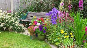 Check spelling or type a new query. Bedding Plants Buying Guide Ideas Advice Diy At B Q