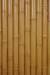 Live Bamboo Fence