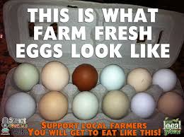 Smart Health Talk Home Organic Chicken Feed Health Organic Recipes