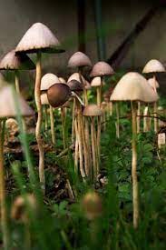 Pin On Science And Nature