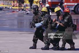 4,845 Kulish Stock Photos, High-Res Pictures, and Images