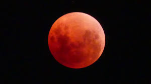 Finally, lunar eclipse may 2021 joins some nasty stars between the claws of the scorpion that encourage deceit, crime, and disease. Lunar Eclipse 2021 This Month Date Timings And Place Everything You Need To Know About The Celestial Event Latestly