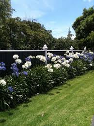 Pin On Beautiful Gardens