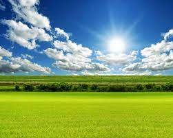 We did not find results for: Fantastic Download Nature Wallpaper Sky And Ground Background Hd 1280x1024 Wallpaper Teahub Io