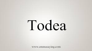 Image result for Todea
