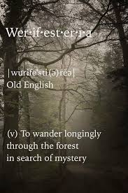 Werifesteria Verb Meaning To Wander Longingly Through The Forest In Search Of Mystery Unusual Words Cool Words Rare Words