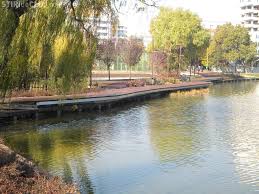 Vremea, prognoza meteo, pimpul probabil, starea vremii, aceasta sectiune puteti gasi prognoza meteo a oraselor din romania si moldova. Vremea In Gheorgheni Cluj Festivaldeigiovanipalazzolo It