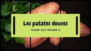 epingle sur jardinage