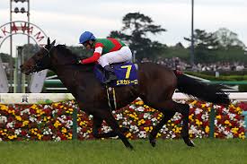 Search the world's information, including webpages, images, videos and more. 2018å¹´ é‡è³žãƒ¬ãƒ¼ã‚¹ Jra