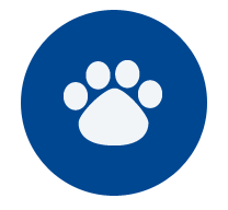 The airline allows cats, dogs and miniature horses. Jetblue Updates Is Emotional Support Animal Policy As Of 7 1 Timeshare Users Group Online Discussion Forums