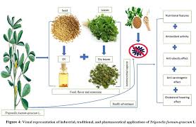 Image result for Trigonella anguina