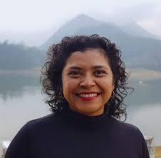 Técnicos Académicos