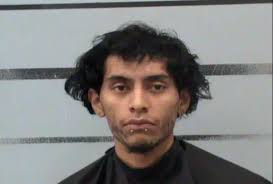 Lubbock Woman Says She Was Forced to Watch Her Dog Being Beaten