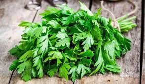 Ø§Ù„Ø±Ø§Ø¦Ø¯Ø© ØªØ£Ø«ÙŠØ± ØªÙˆØµÙŠÙ„ ØªÙØ³ÙŠØ± Ø­Ù„Ù… ØªÙ‚Ø·ÙŠØ¹ Ø§Ù„Ø¨Ù‚Ø¯ÙˆÙ†Ø³ Ù„Ù„Ø¹Ø²Ø¨Ø§Ø¡ Thanlwin Org