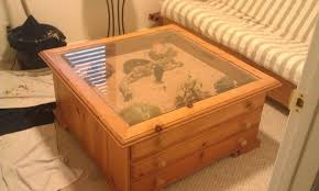 Coffee Table Terrarium Leopard Gecko S For Sale In Springville Bearded Dragon Leopard Gecko Diy Bearded Dragon Terrarium