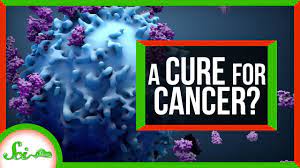 These contrast with benign tumors, which do not spread. Scientists May Have Found A Way To Treat All Cancers By Accident Scishow News Youtube