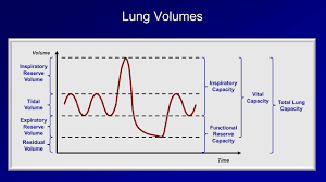 Pulmonary Function Tests Pft Lesson 1 An Introduction
