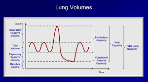 pulmonary function tests pft lesson 1 an introduction