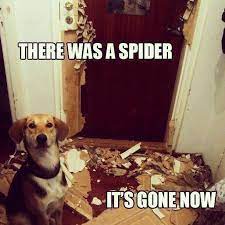Dogs Cats And Other Pets Need A Laugh These Animal Memes Should Do The Trick Popsugar Pets Photo 9 Silly Animals Funny Animal Jokes Funny Animal Memes