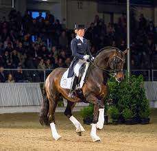 Check spelling or type a new query. Pin On Dressage Royal Offspring