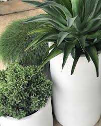 Garden Pots Sydney Outdoor Pots Designer Pots The Balcony Garden Sydney Nsw Potted Plants Outdoor Patio Garden Design Garden Pots