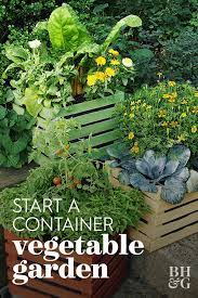 19 Ways To Grow Vegetables In Containers That Will Look As Gorgeous As They Taste Growing Vegetables Vegetable Garden Vegetable Garden For Beginners