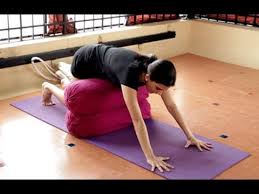 Iyengar Yoga For Lower Back Pain Part Ii In Malayalam Youtube